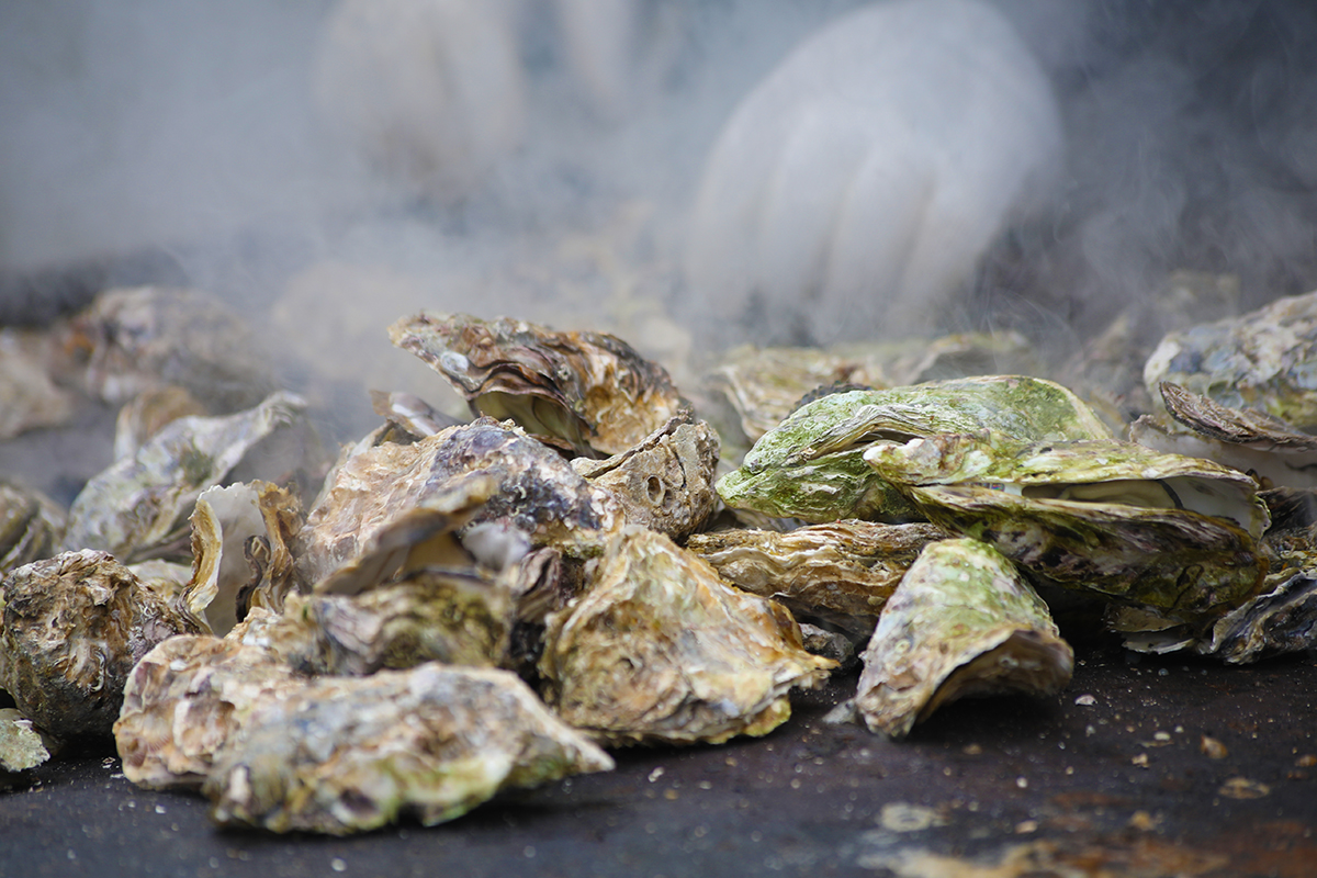 【広島グルメ】呉水産祭りで販売された倉橋産の「殻付き焼き牡蠣」