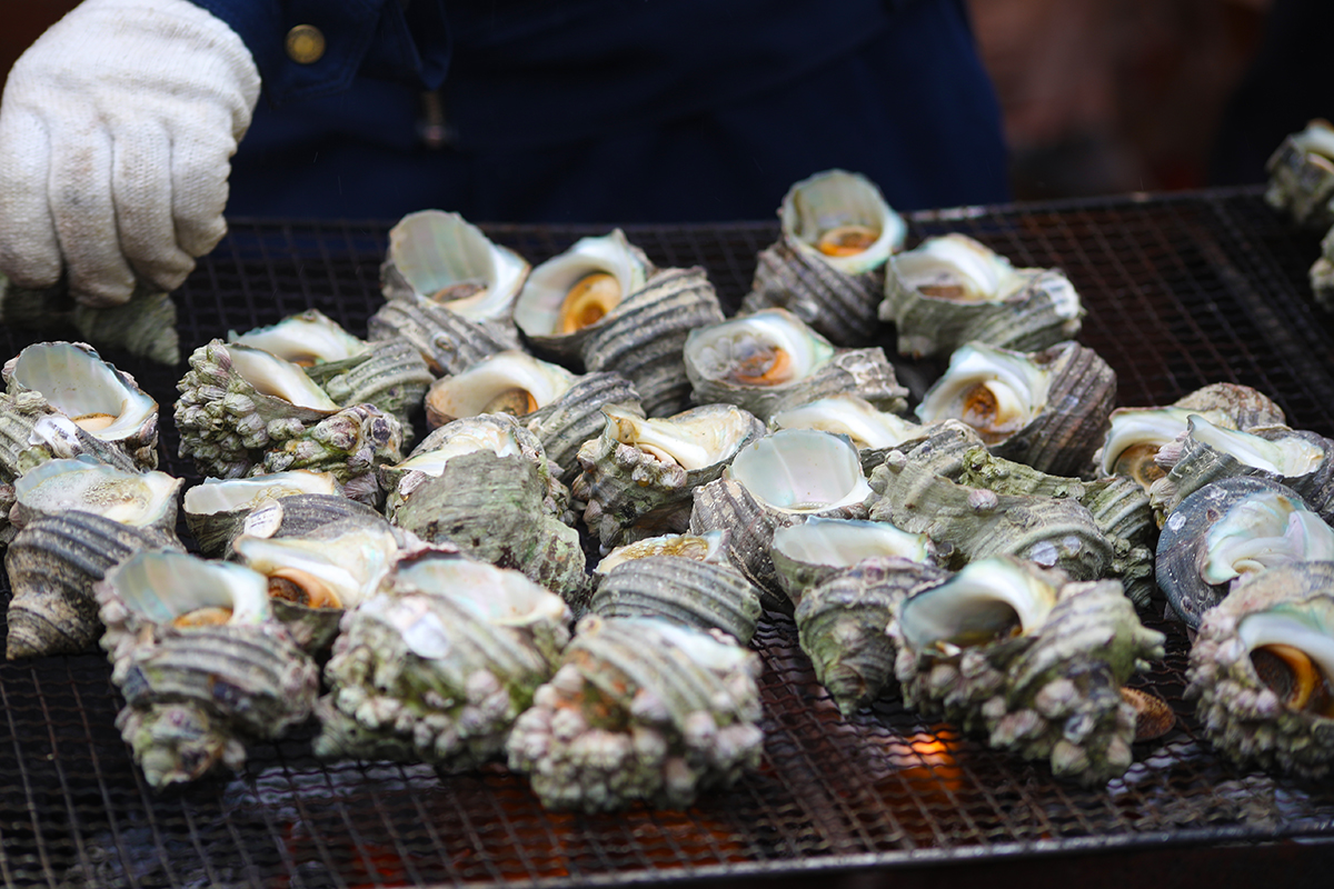 【広島グルメ】呉水産祭りで販売された豊島産の「ジャンボサザエつぼ焼き」